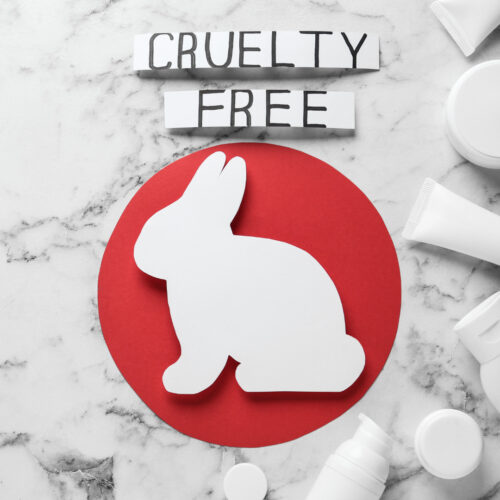 The Importance of CrueltyFree Haircare & Why Aveda Is 100 vegan